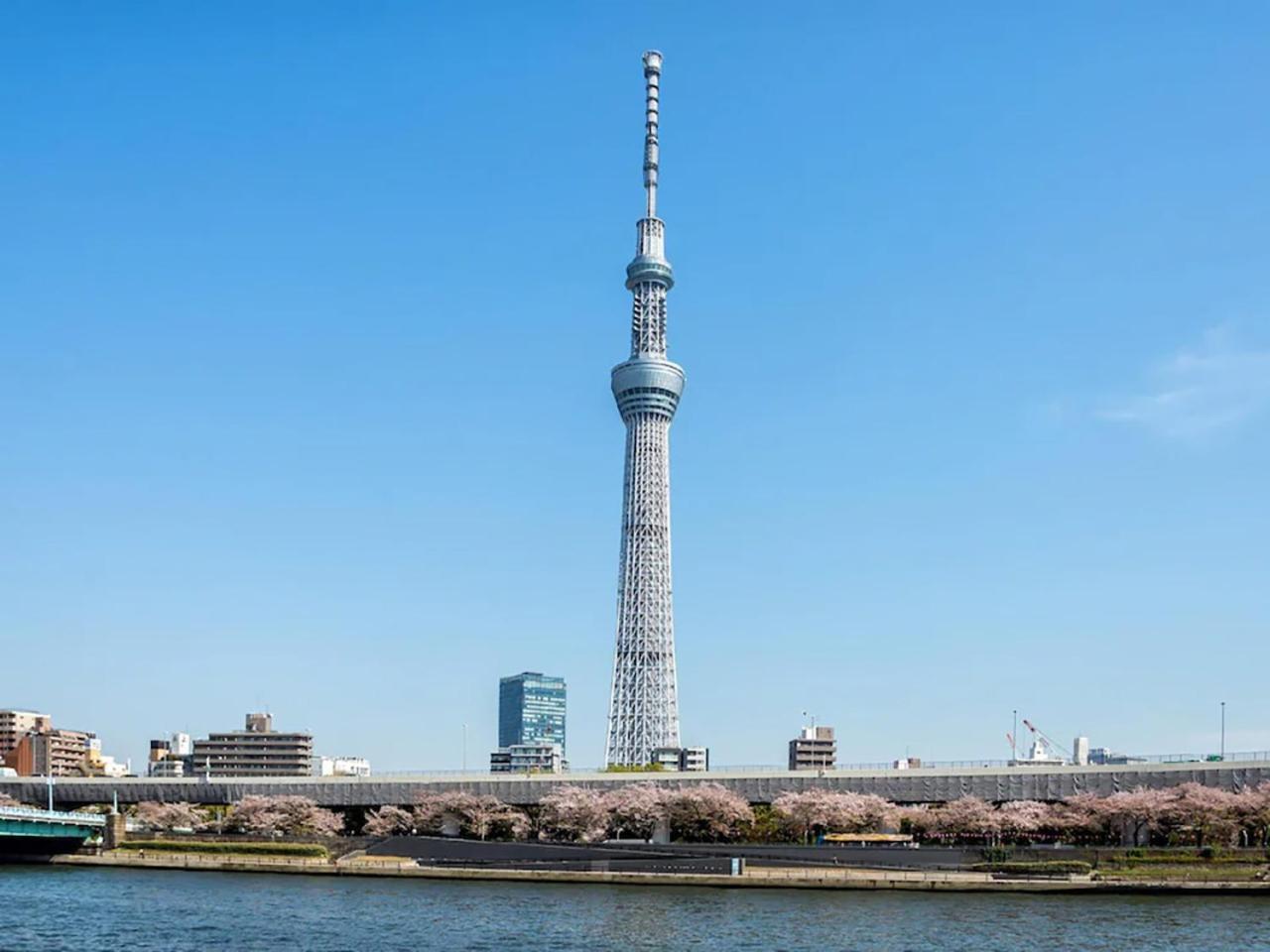 Anshin Oyado Akihabara Denkigaiten Tōkyō Extérieur photo